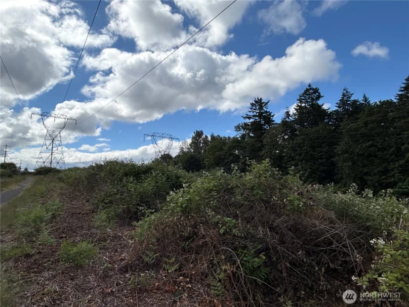Property photo for 1810 S 27th Street, Renton photo 18