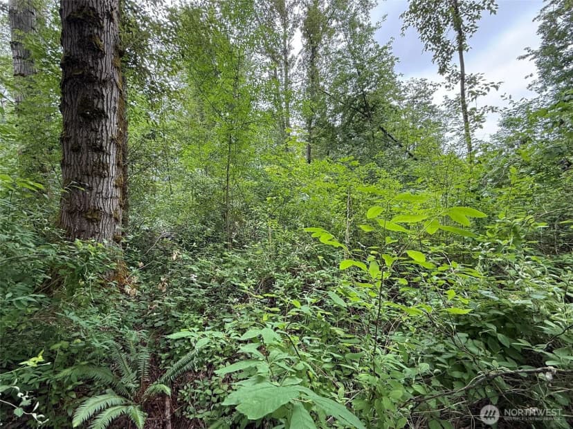 Property photo for 1810 S 27th Street, Renton