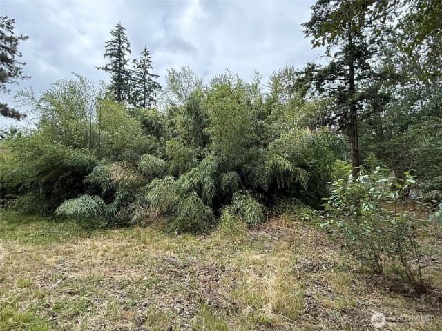 Property photo for 1810 S 27th Street, Renton photo 5