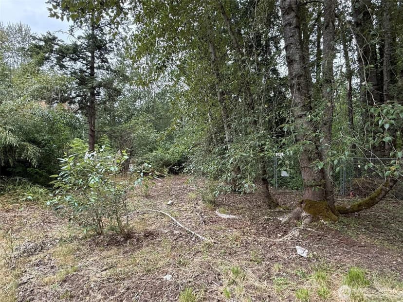 Property photo for 1810 S 27th Street, Renton photo 6