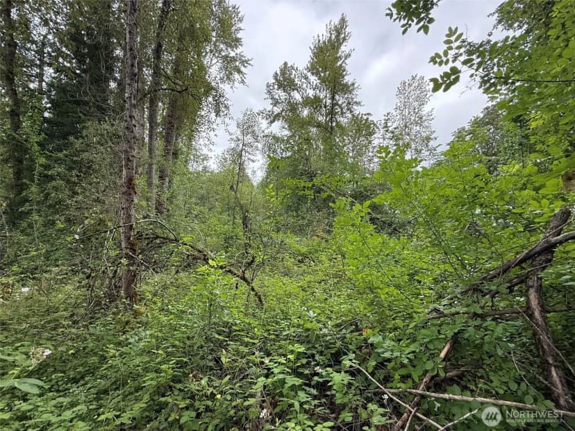 Property photo for 1810 S 27th Street, Renton photo 12