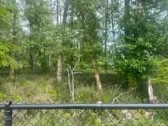 Property photo for 543 Duck Lake Drive Ne, Ocean Shores photo 10