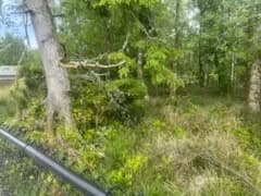 Property photo for 543 Duck Lake Drive Ne, Ocean Shores photo 8