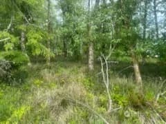 Property photo for 543 Duck Lake Drive Ne, Ocean Shores photo 9