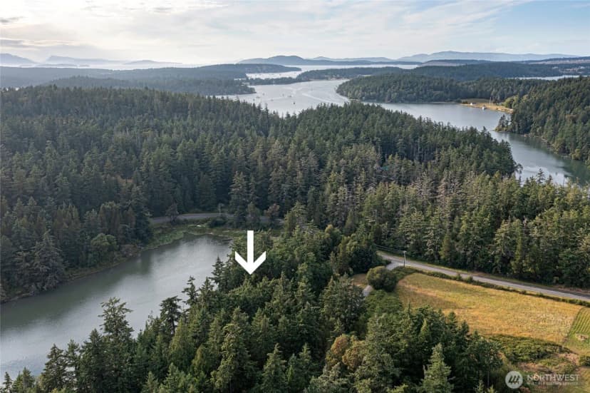 Property photo for 42 Kingfisher Lane, Friday Harbor photo 18