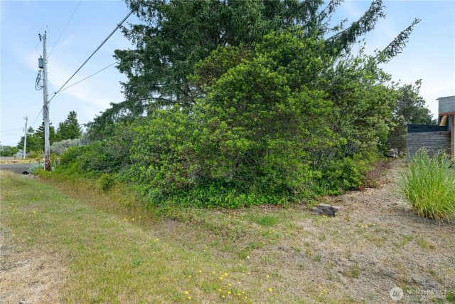 Property photo for 233 S Razor Clam Drive Sw, Ocean Shores photo 2