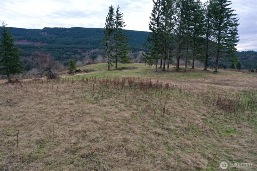 Property photo for 4 Hagen Road, Mossyrock photo 15