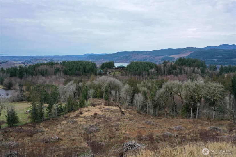Property photo for 4 Hagen Road, Mossyrock photo 17