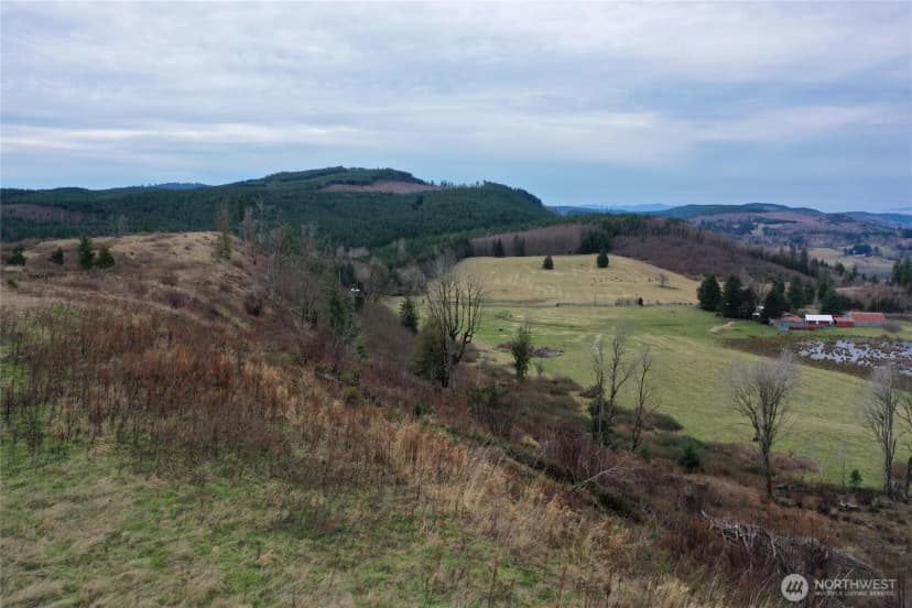 Property photo for 4 Hagen Road, Mossyrock photo 16