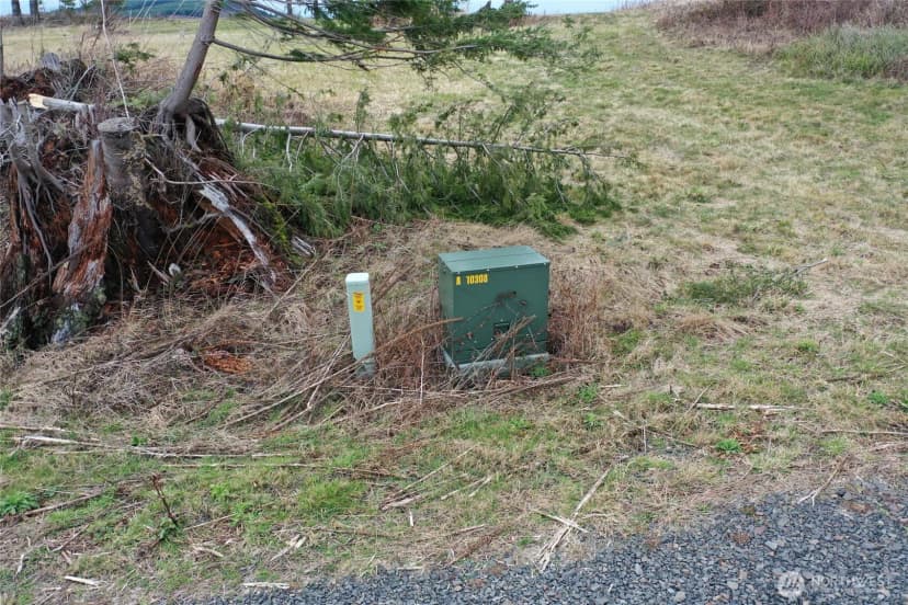Property photo for 4 Hagen Road, Mossyrock photo 20