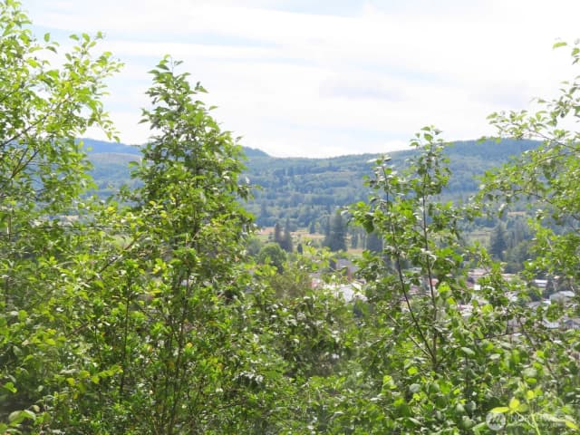 Property photo for 0 Xxx Coleman Road, Mossyrock photo 4