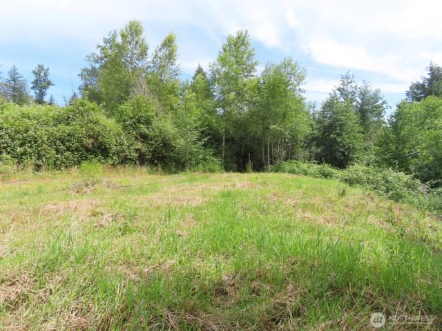 Property photo for 0 Xxx Coleman Road, Mossyrock photo 2