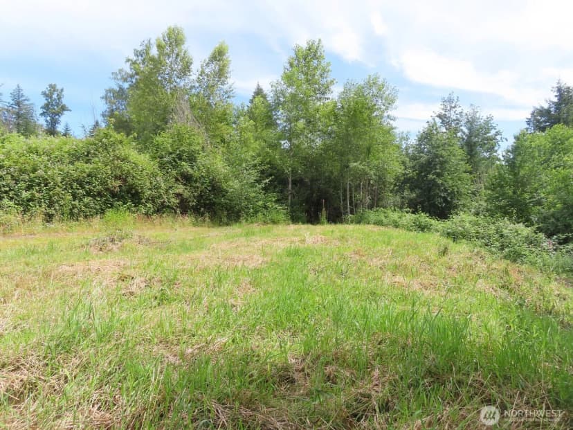 Property photo for 0 Xxx Coleman Road, Mossyrock photo 2