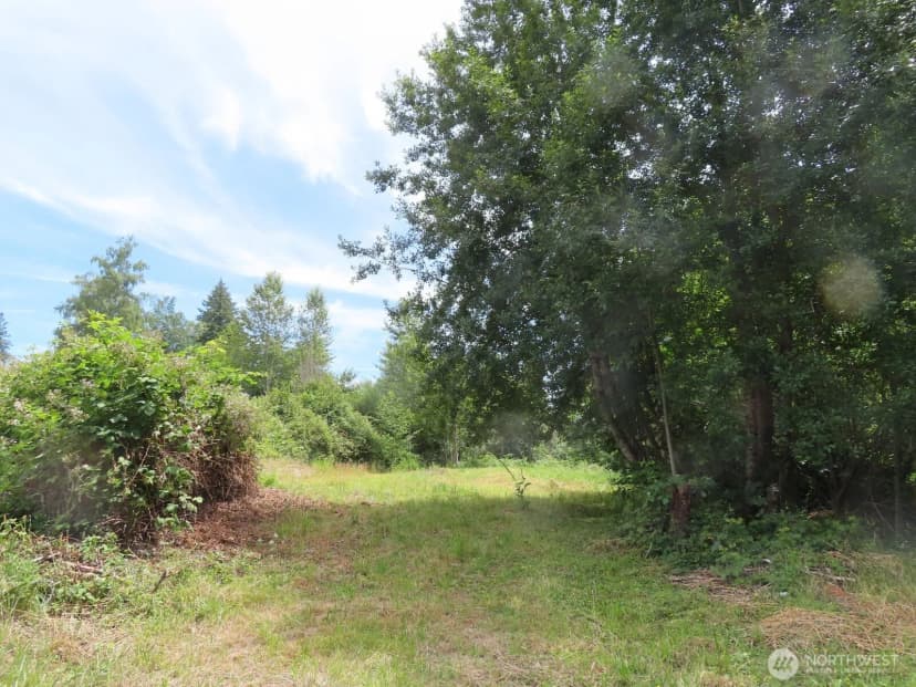 Property photo for 0 Xxx Coleman Road, Mossyrock photo 10