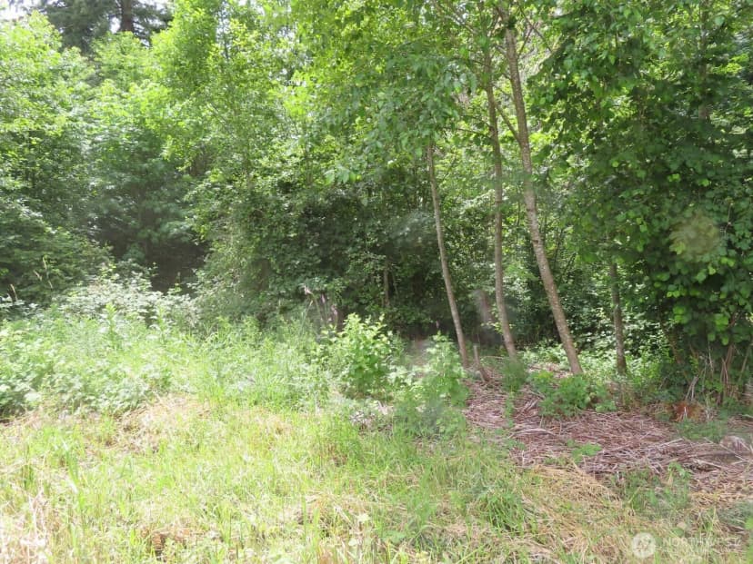 Property photo for 0 Xxx Coleman Road, Mossyrock photo 16