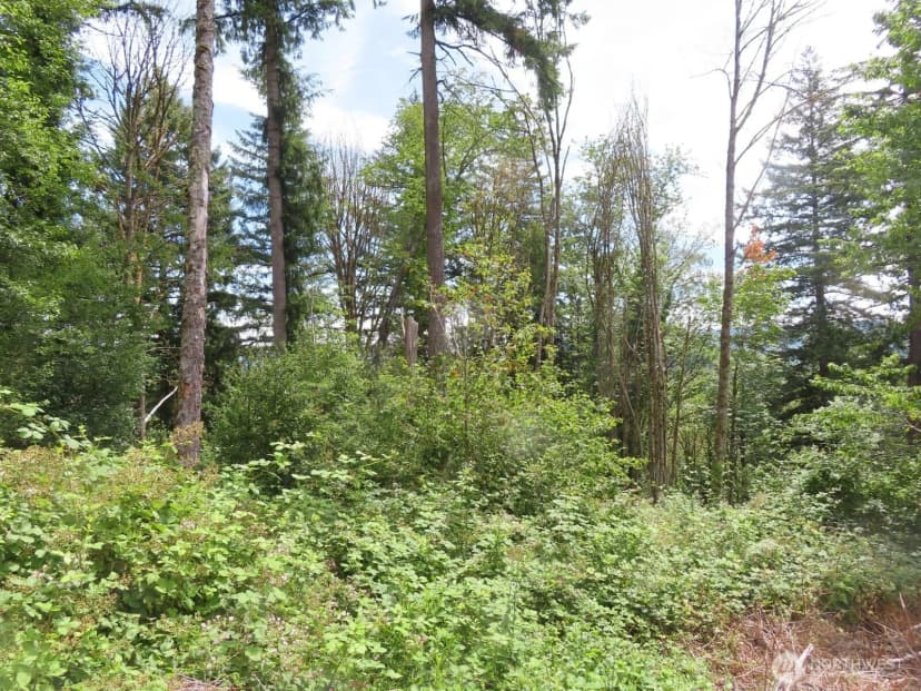 Property photo for 0 Xxx Coleman Road, Mossyrock photo 11