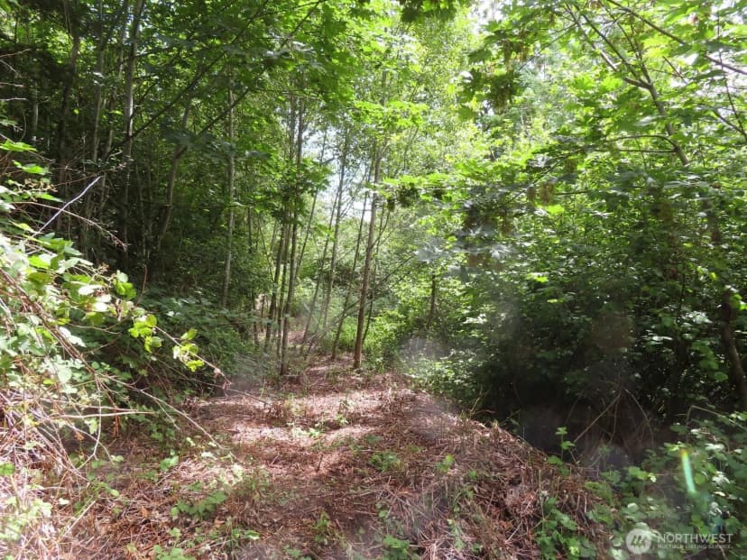 Property photo for 0 Xxx Coleman Road, Mossyrock photo 17