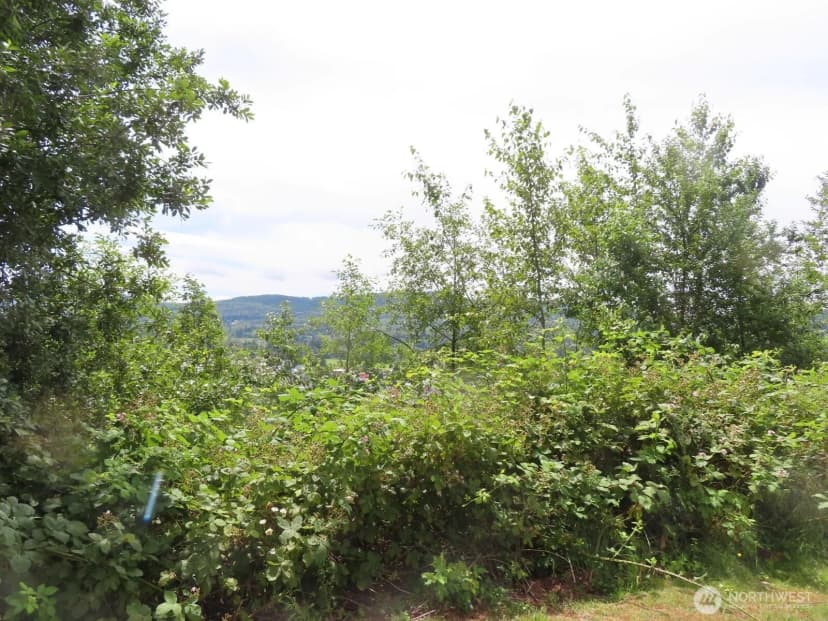 Property photo for 0 Xxx Coleman Road, Mossyrock photo 6
