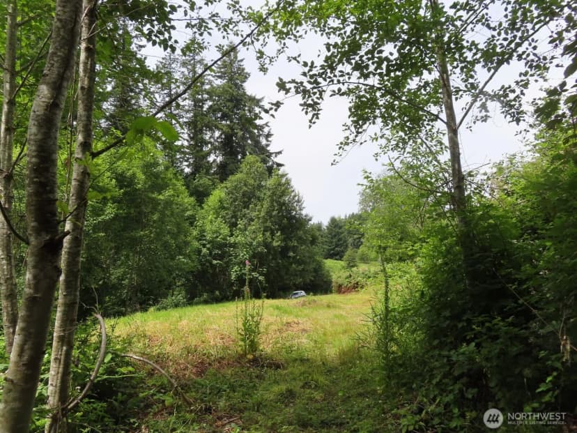 Property photo for 0 Xxx Coleman Road, Mossyrock