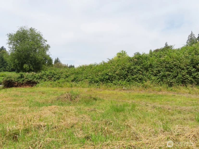 Property photo for 0 Xxx Coleman Road, Mossyrock photo 3