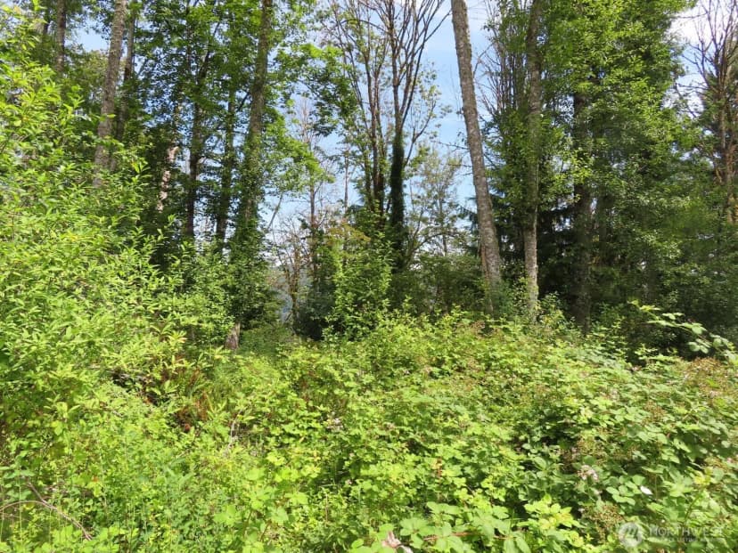 Property photo for 0 Xxx Coleman Road, Mossyrock photo 12
