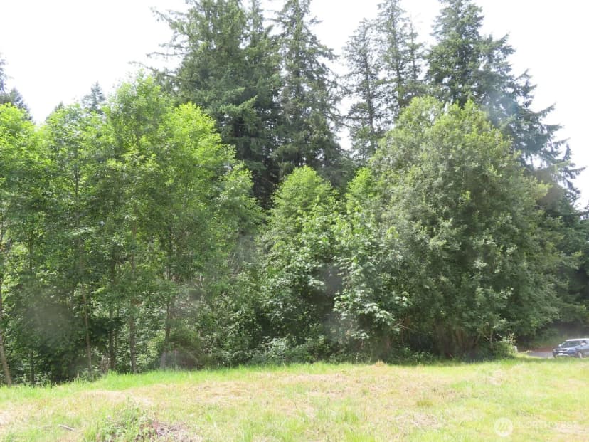Property photo for 0 Xxx Coleman Road, Mossyrock photo 7