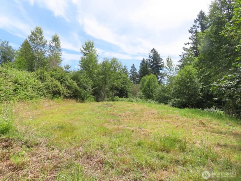 Property photo for 0 Xxx Coleman Road, Mossyrock photo 9