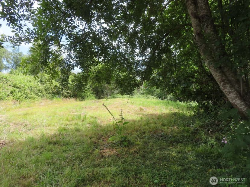 Property photo for 0 Xxx Coleman Road, Mossyrock photo 13