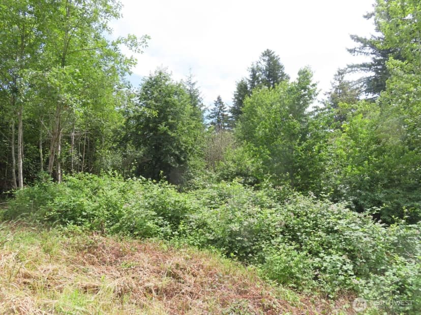 Property photo for 0 Xxx Coleman Road, Mossyrock photo 15