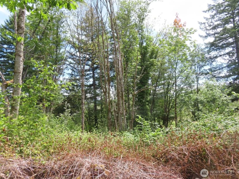 Property photo for 0 Xxx Coleman Road, Mossyrock photo 19