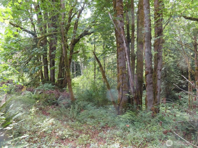 Property photo for 0 Lot 11 Valley View Drive, Mossyrock photo 9
