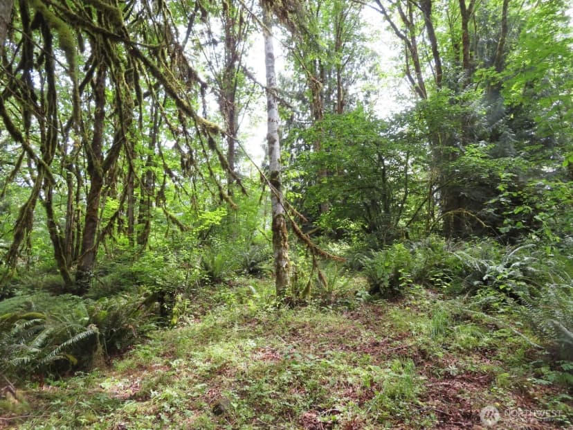 Property photo for 0 Lot 11 Valley View Drive, Mossyrock photo 7