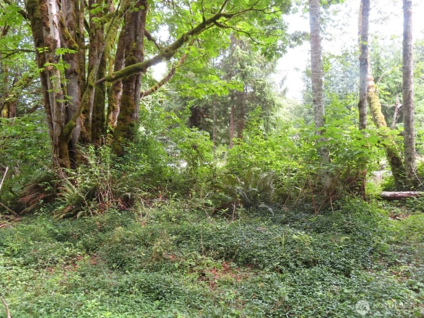 Property photo for 0 Lot 11 Valley View Drive, Mossyrock photo 8