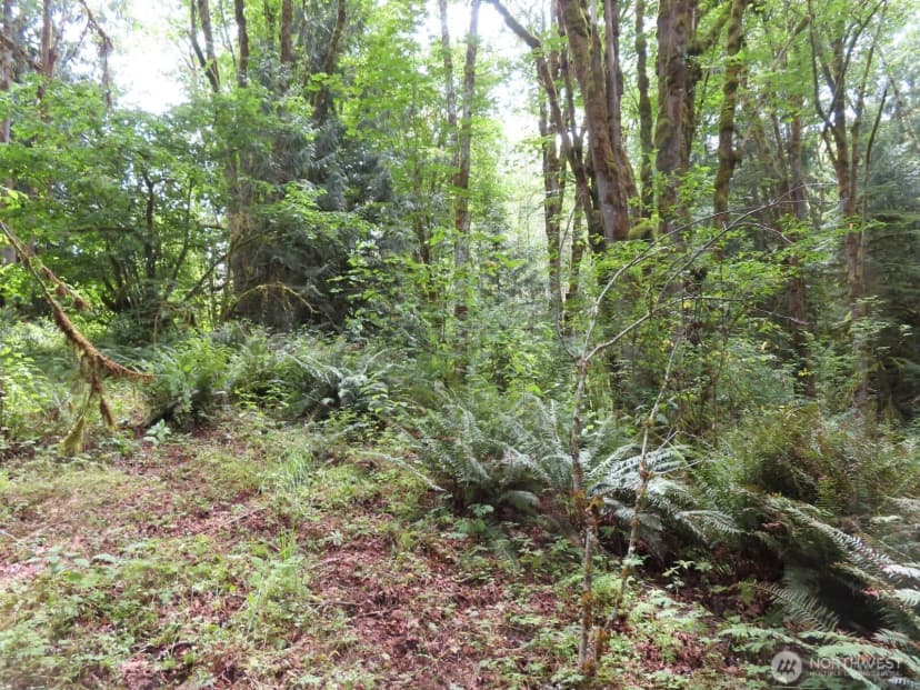 Property photo for 0 Lot 11 Valley View Drive, Mossyrock photo 15