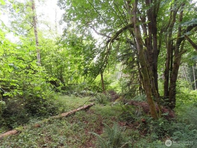 Property photo for 0 Lot 11 Valley View Drive, Mossyrock photo 2