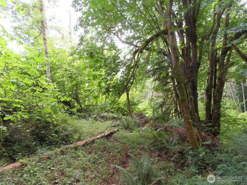 Property photo for 0 Lot 11 Valley View Drive, Mossyrock photo 2