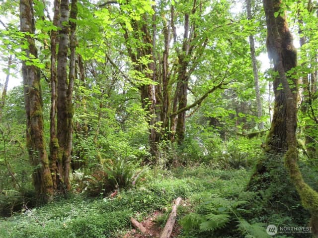 Property photo for 0 Lot 11 Valley View Drive, Mossyrock