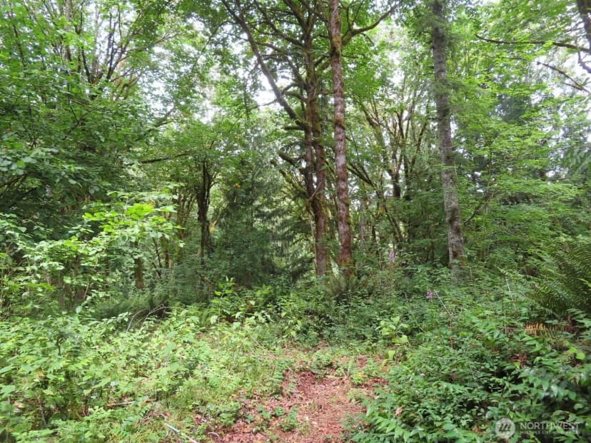 Property photo for 0 Lot 11 Valley View Drive, Mossyrock photo 6