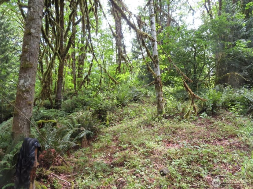 Property photo for 0 Lot 11 Valley View Drive, Mossyrock photo 14