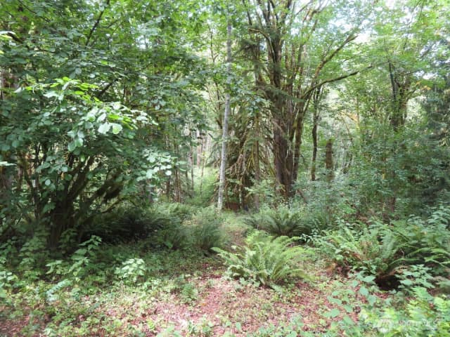 Property photo for 0 Lot 11 Valley View Drive, Mossyrock photo 4