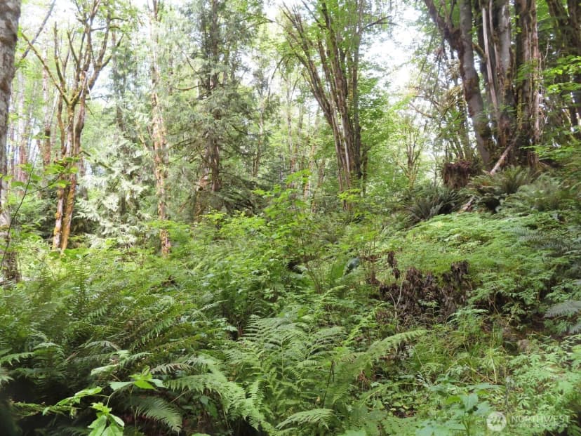 Property photo for 0 Lot 11 Valley View Drive, Mossyrock photo 12