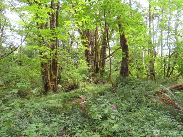 Property photo for 0 Lot 11 Valley View Drive, Mossyrock photo 5