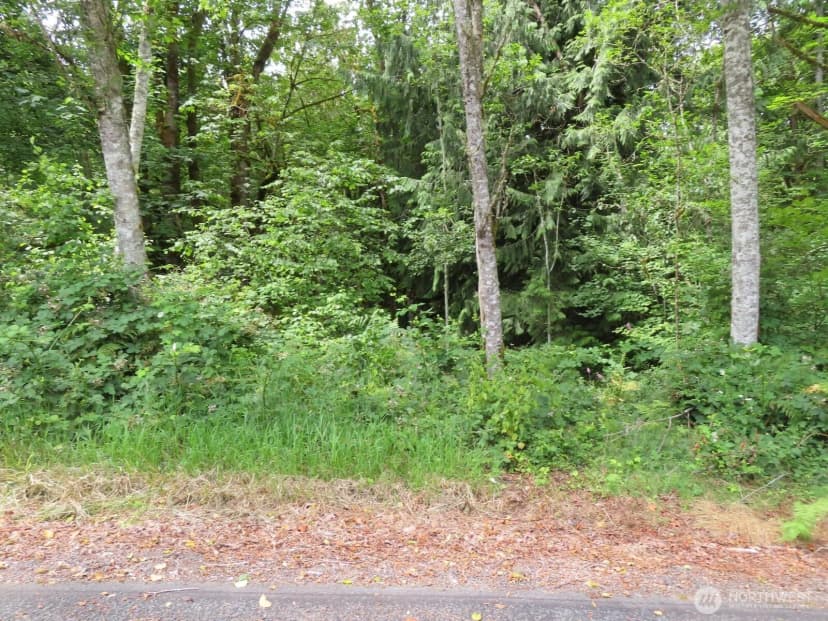 Property photo for 0 Lot 11 Valley View Drive, Mossyrock photo 16