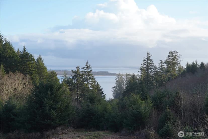 Property photo for 31 Xx Discovery Court, Ilwaco photo 17