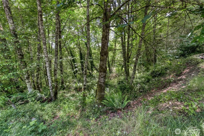 Property photo for 10611 33rd Avenue Ct Nw, Gig Harbor photo 14