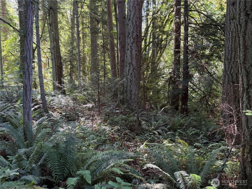 Property photo for 156 Xx Lot 1 Marine Drive, Stanwood photo 8