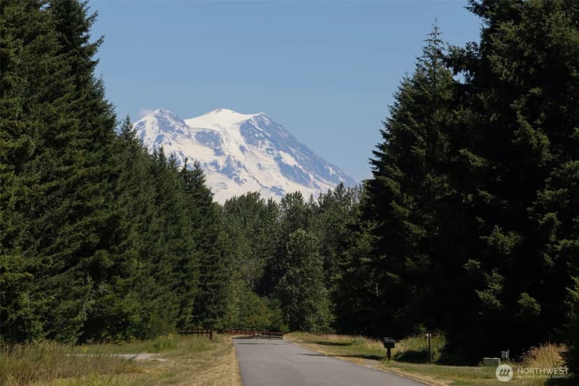 Property photo for 15330 159th Lane Se, Yelm photo 38