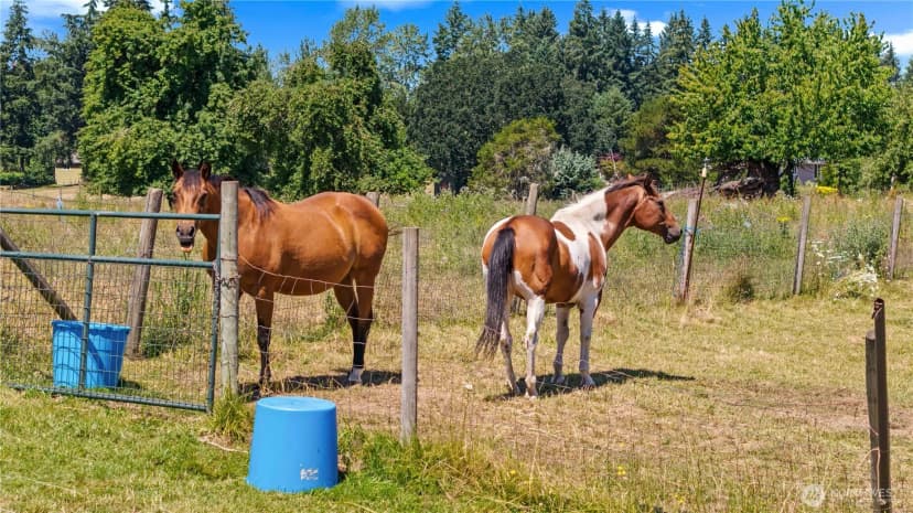Property photo for 12717 Zeller Road Se, Yelm photo 39