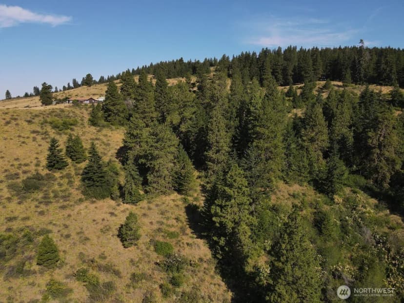 Property photo for 790 Fs Rd 3506, Ellensburg photo 33