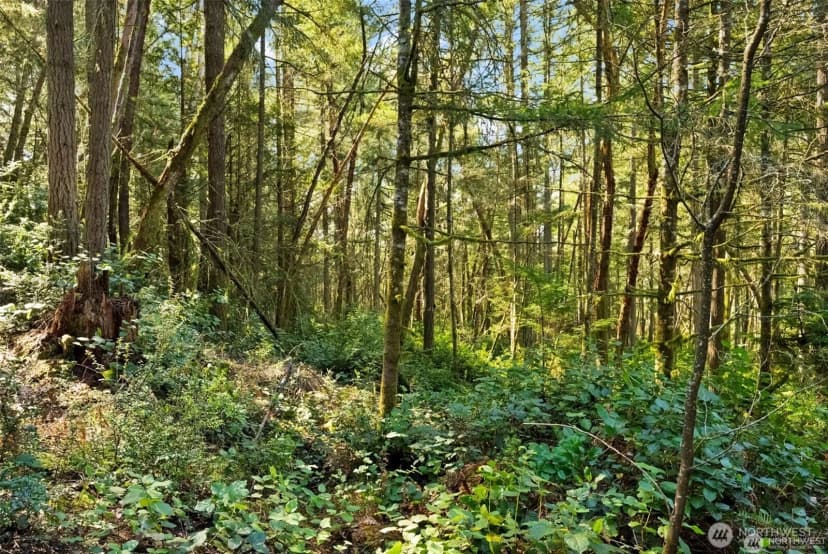 Property photo for 0 Canterwood Boulevard, Gig Harbor photo 13